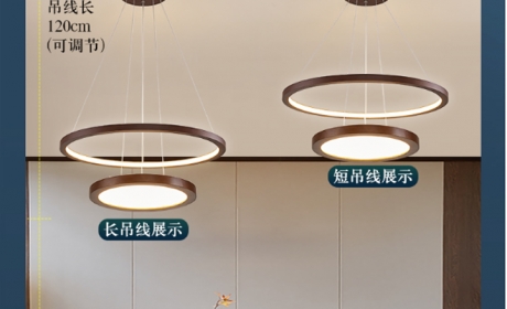 现代简约创意大气客厅灯中国风圆环餐桌茶室