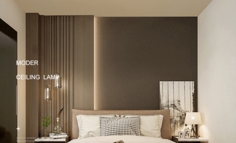 ed吸顶灯铁艺 简约现代房间灯具圆形温馨