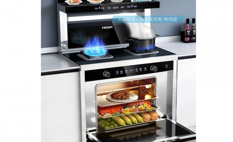 美大 （MEIDA）集成灶 蒸烤一体 X10-ZK
