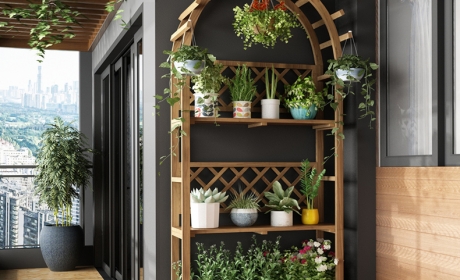 经开未来城3-105二层阳台花架