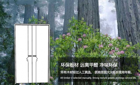 碳晶室内木门（对开门）1321